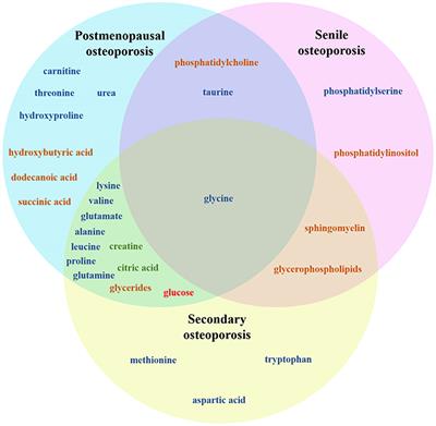 Application of metabolomics in osteoporosis research